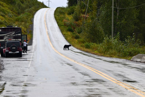 Per la carretera per Canadà