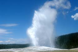 Yellowstone, la natura més al·lucinant